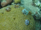Curacao 04-12 038